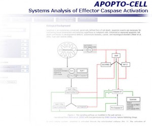 apoptocell_index