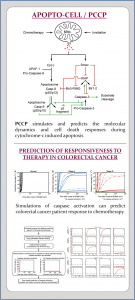 Prediction of Cancer Response to Genotoxic Chemotherapy and Personalised Neoadjuvant Treatments