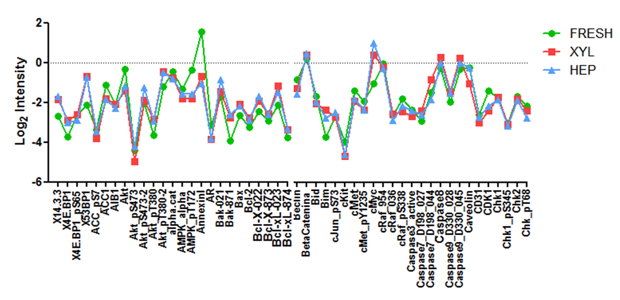 Comparison between protein profile of fresh and FFPE tissue samples from the same patient