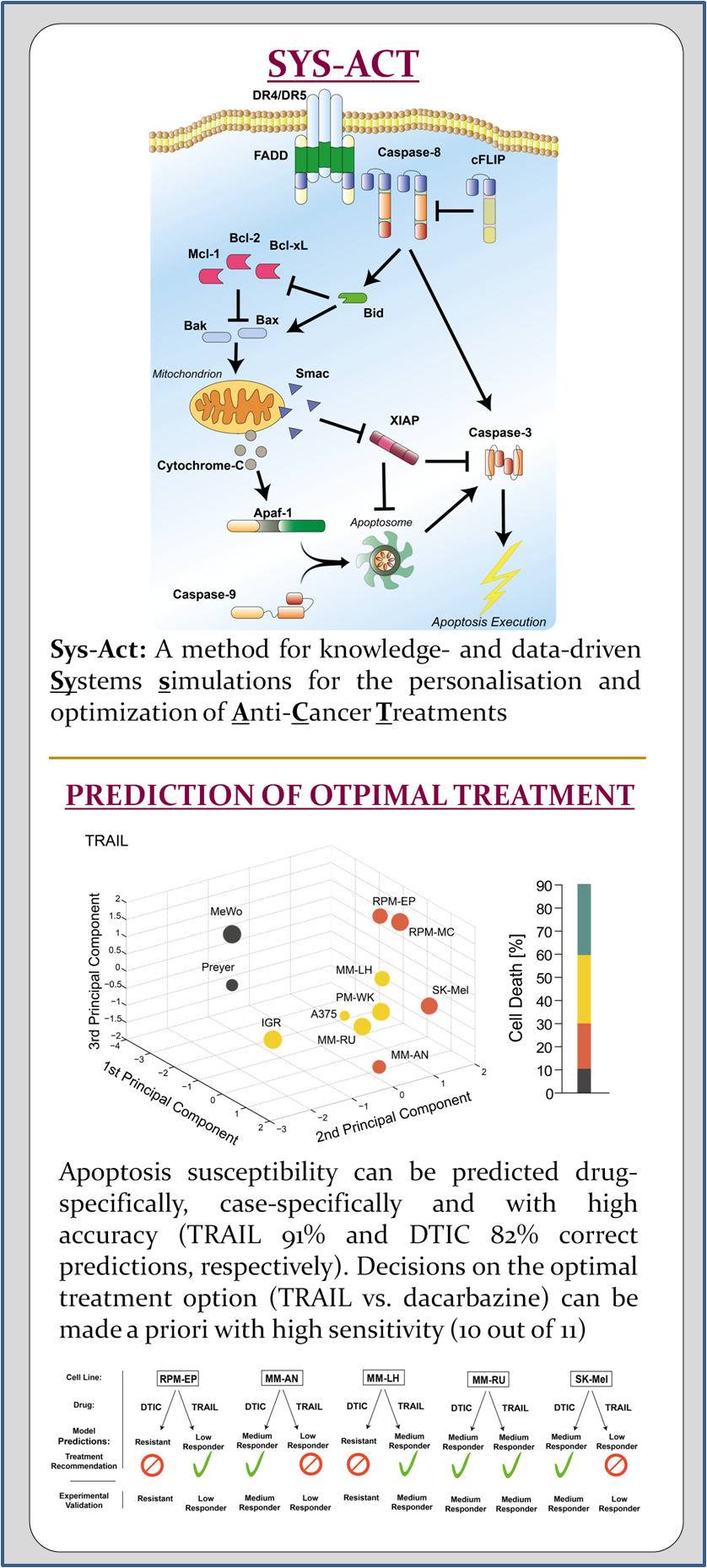 Systems simulations for the personalisation and optimization of Anti-Cancer Treatments