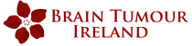 braintumour ireland logo